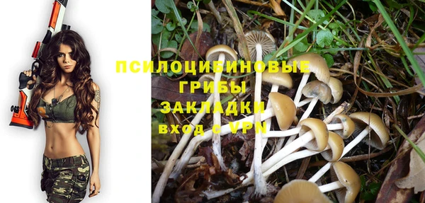 СК Аркадак